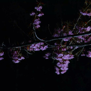 火车上牛大鸡巴操穴
